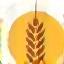 Gluten Free
