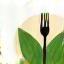 Vegetarian